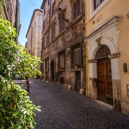 Navona Sangallo